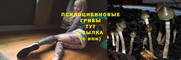 спиды Абинск