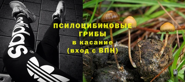 дживик Абаза