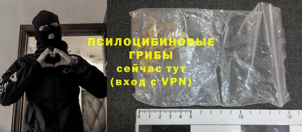 дживик Абаза