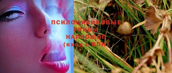 дживик Абаза