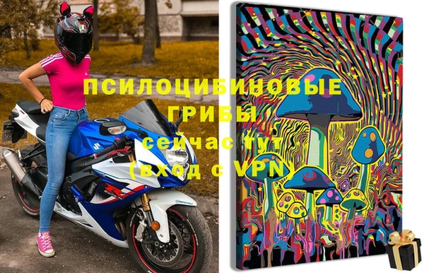 спиды Абинск