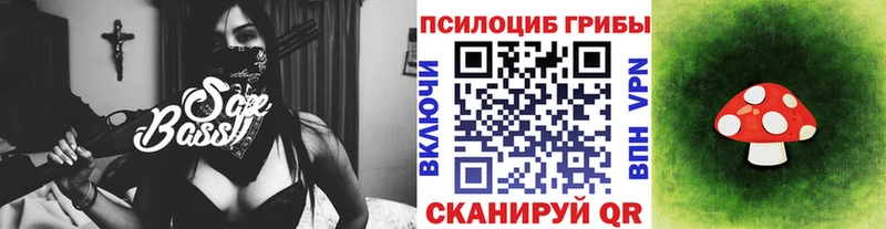 Псилоцибиновые грибы Psilocybe Краснодар